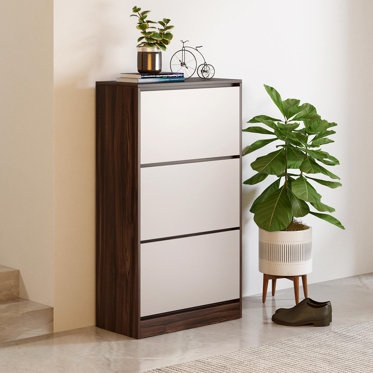 Shoe Cabinet with Pull-Down Drawers